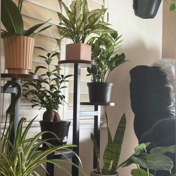 MEET YOUR POSHER WENDY! - Picture 5 of 5